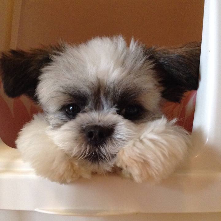 6caf9903 1a9c 4f6f b3a6 3309deea4302