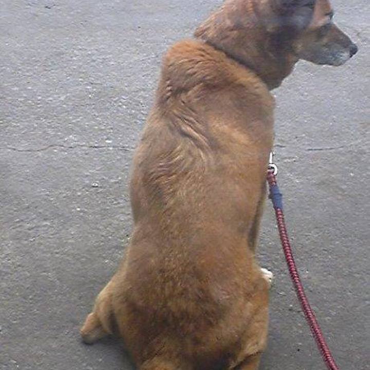 6cb08d9a 95ea 4350 b077 9091a97f7dde