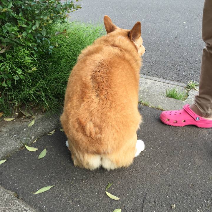 6cb151da 4c55 4436 8327 d116f8707d17