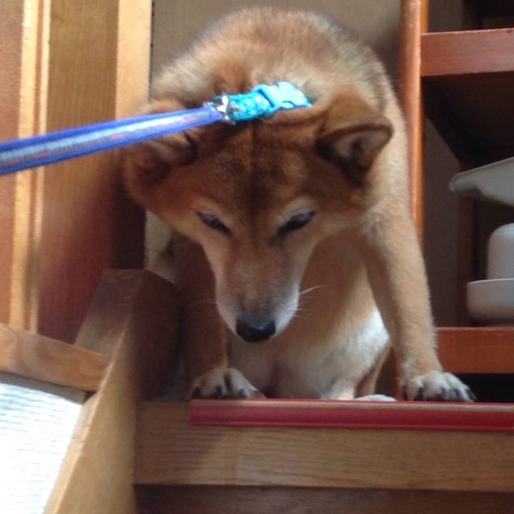 6cb1d008 3de3 4ab0 9f16 f7eed264c655