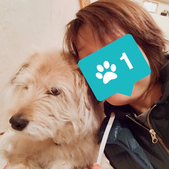 6cb1d4bb 11dc 4028 910e bb0893c452d5