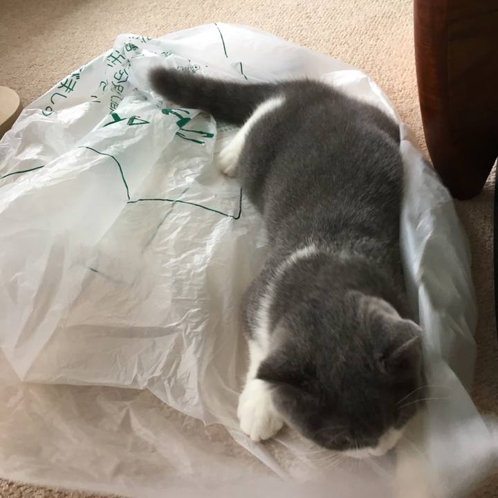 6cb35a6f a6b8 403e 98ea a04b5bdbc325