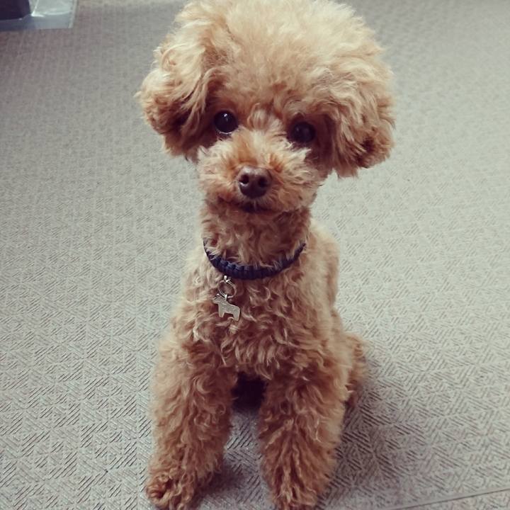 6cb35bdd 40d9 4827 b6ee dbb07f6c1c28