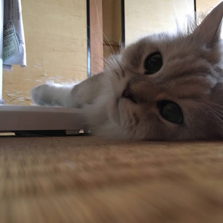 6cb3bf6c 3761 4cec a587 4906f232448e