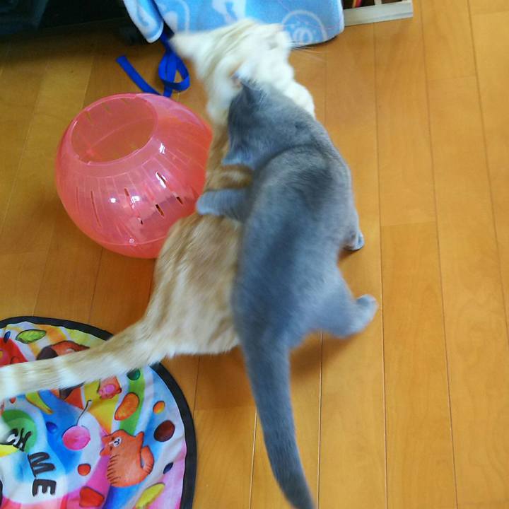 6cb450bf 2d76 4614 87f7 e5272507cf7d