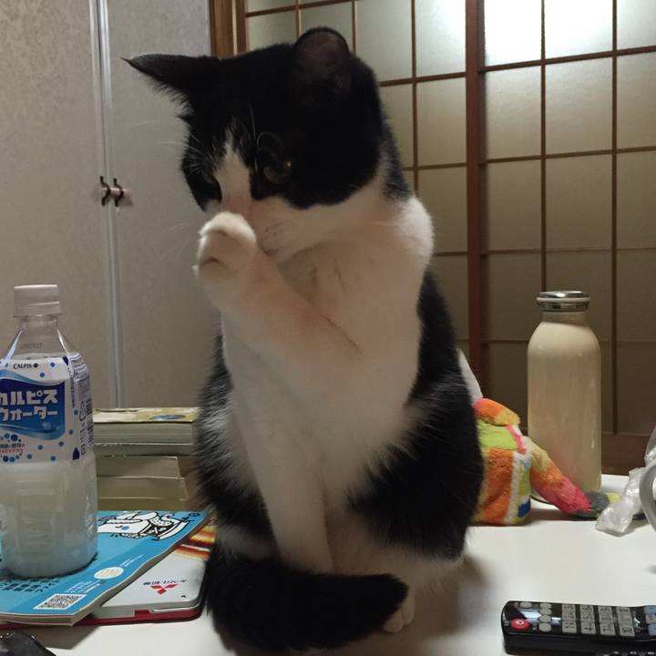 6cb46b6a 13f2 454f b865 40e2b4c4b9c4