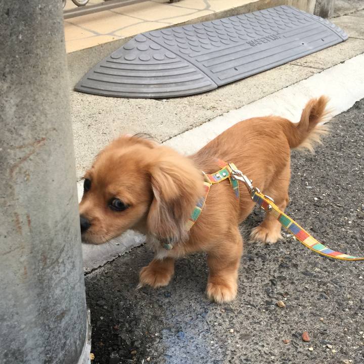 6cb48a90 7f60 4e9b 84ed 4d3f1fc840f7