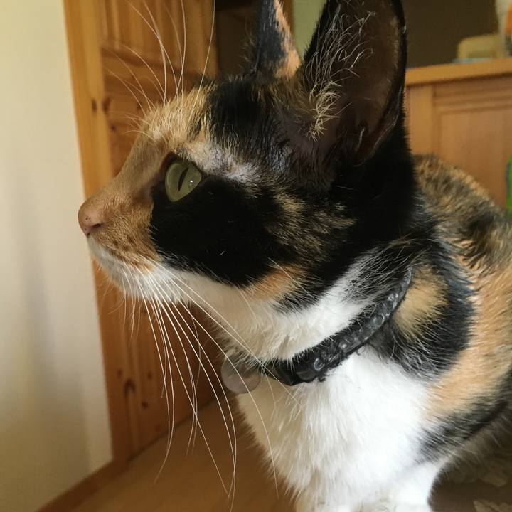 6cb4d5b9 6cc9 4c67 9a67 37a7075da1ef