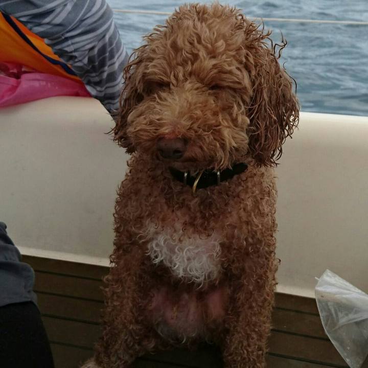 6cb57f28 9a49 4166 9b95 f5decbcc4000