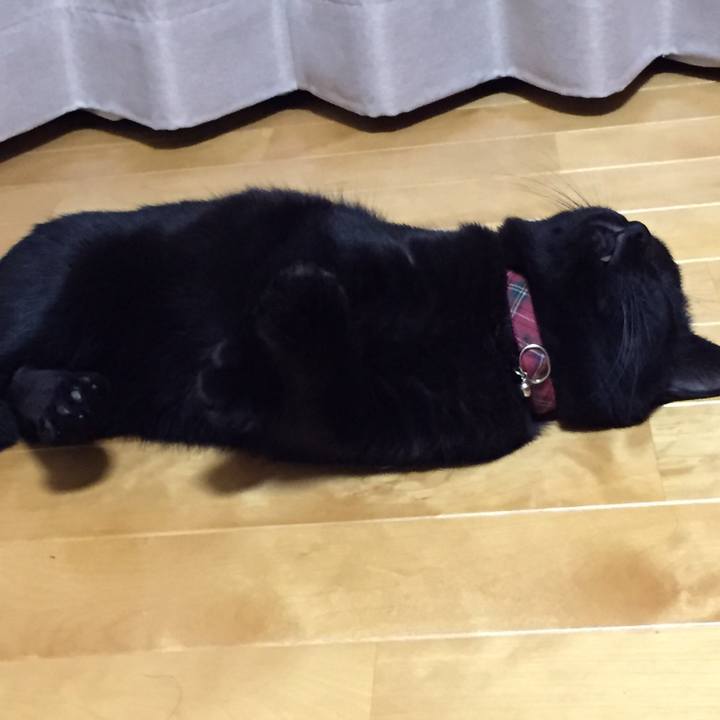 6cb5f684 0e41 4395 a5cb 49c2c3a3043f