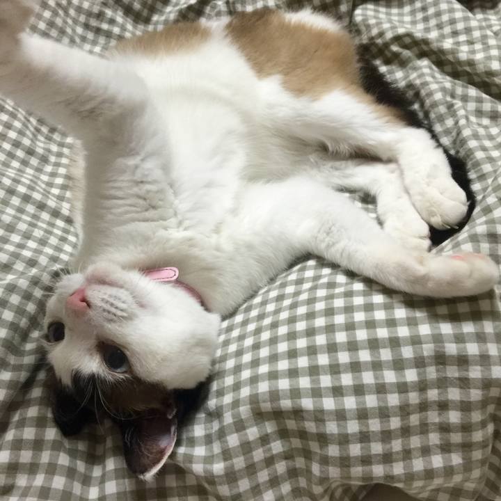 6cb79831 cf90 4cf9 a512 f8d71ad4d1e3