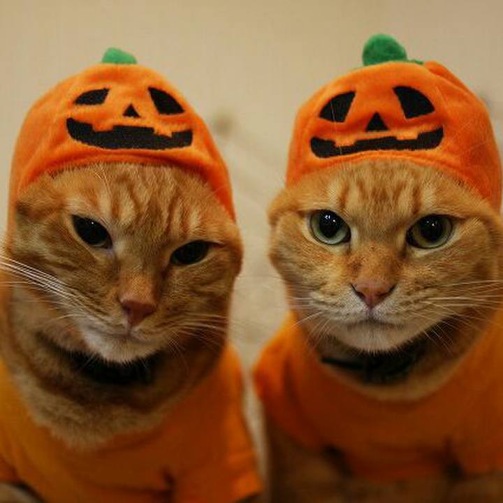 6cb7dd21 345a 4172 b3e1 cb98686c989b