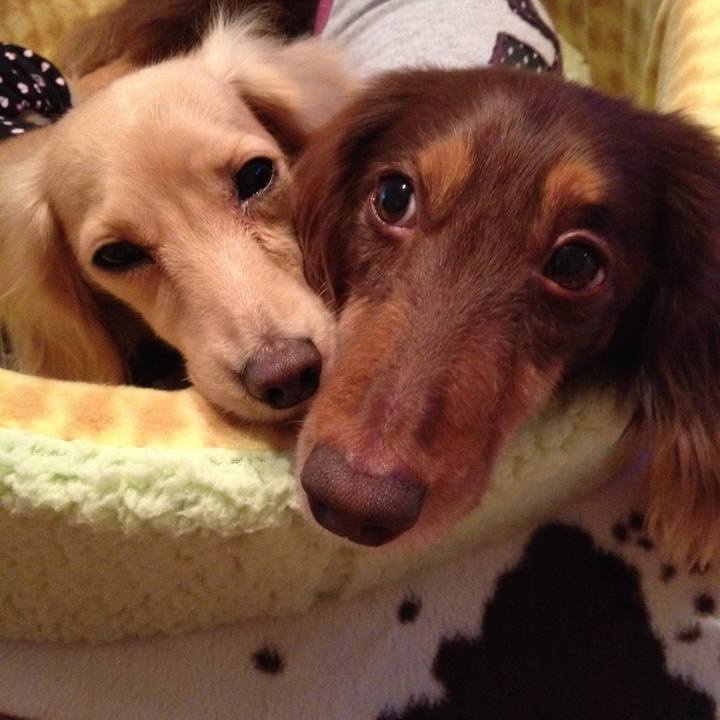 6cb87edc 4bd2 4ae1 a1b7 bd51b8f5b2e9