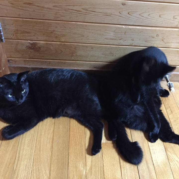 6cb88648 77b6 4f34 8a16 be9f7a4b71d2