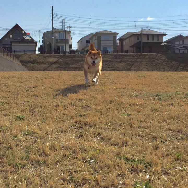 6cb8d9f5 00a7 46ce b5f5 c1a5d59b5b60