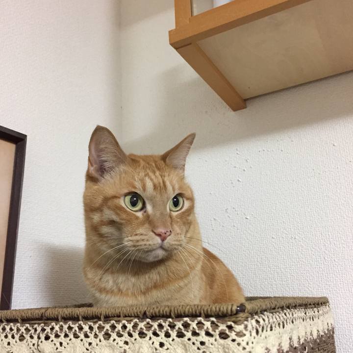 6cb907a1 c4a8 460a b719 b0b82399ec95