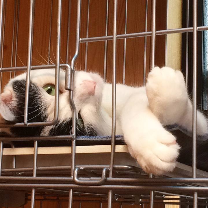 6cba5aa7 f049 4390 bf81 f39c63b8e25d