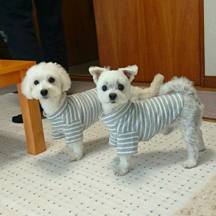 6cbaa3d5 0b8c 436a 8aad 378fab45e56d