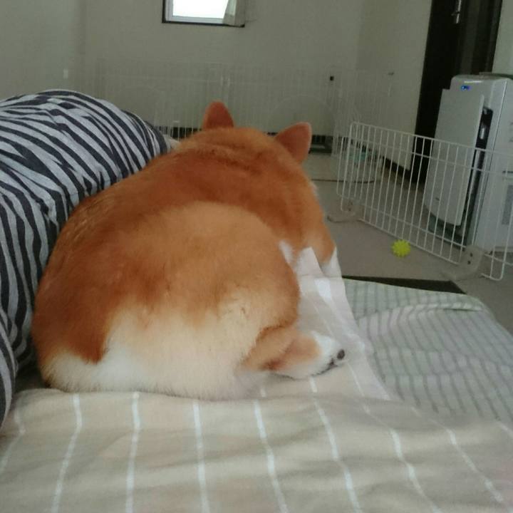 6cbbc644 7d99 48e4 833e f38c964e78c6