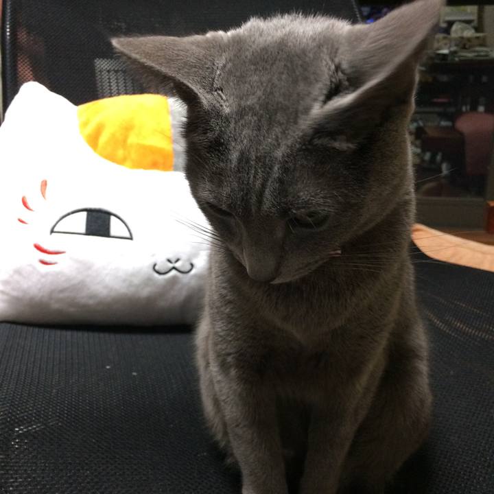 6cbbeb03 ed07 4b77 8f27 34147978958c