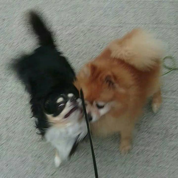 6cbc5a18 7bf4 4dae 97e4 2b676689f694