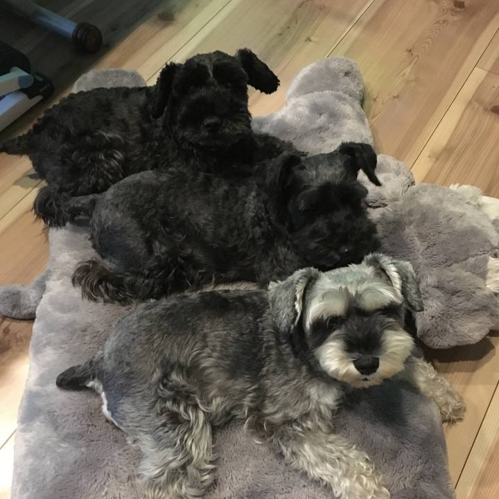 6cbc7e98 72d2 4b4b 978c 2172cd5da482