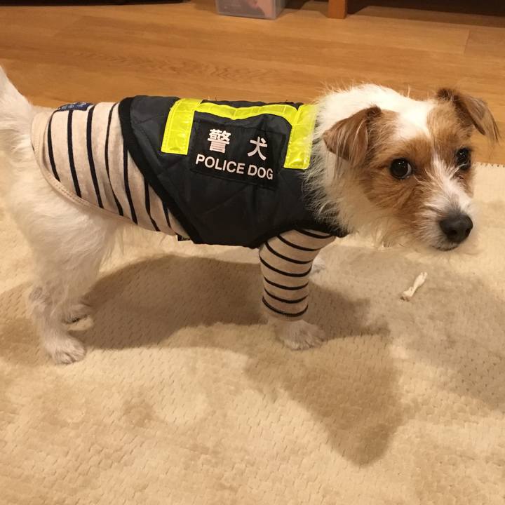 6cbcb00a c042 44f8 957a a69c5414a7b2