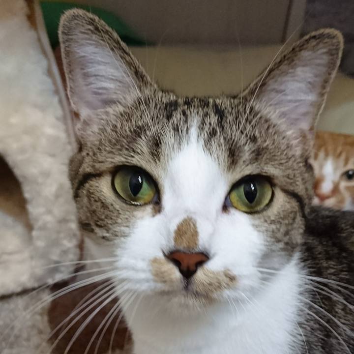 6cbcb9e5 7f49 4690 8756 fb6e1d7d915a