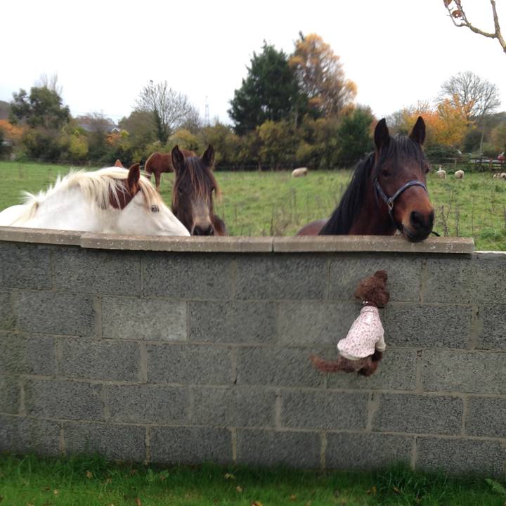 6cbd049c f1ee 439a aae9 59316133fe47