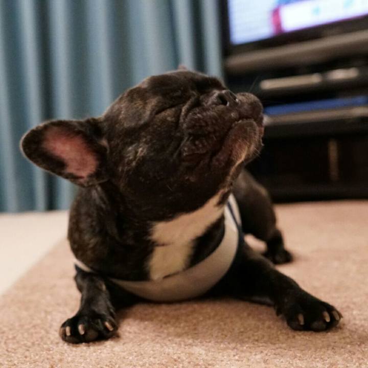 6cbe5ad4 b14d 4d90 ab82 d2b216b6f984