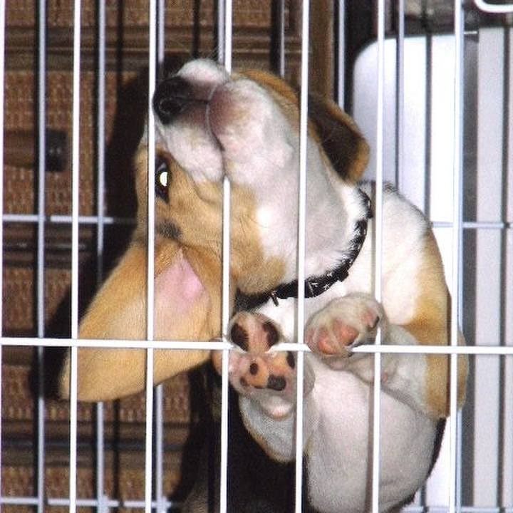 6cbe9f42 d738 48f9 a883 ee756d08c5cd