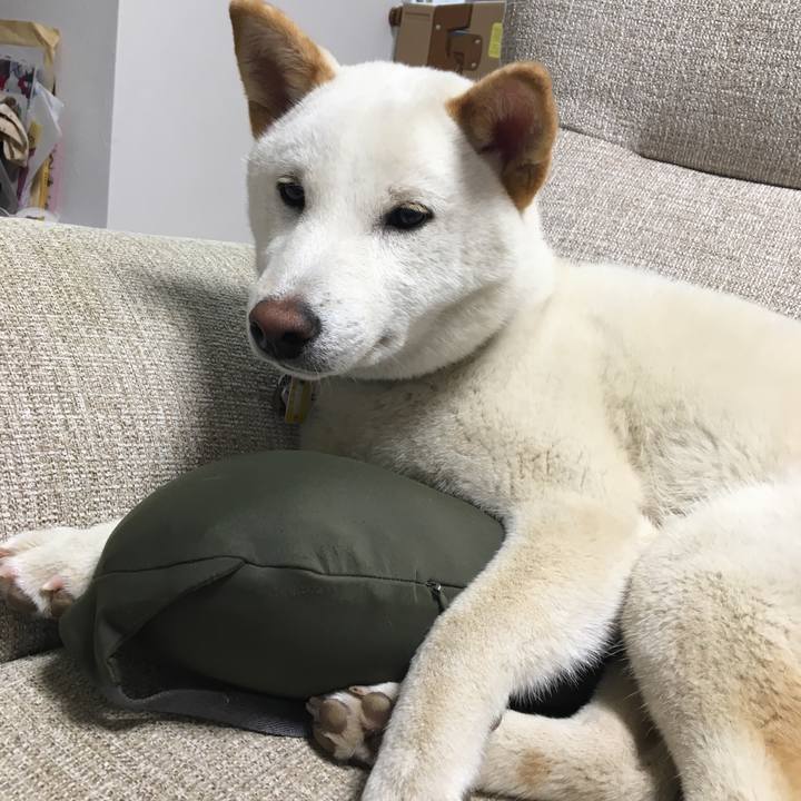 6cbefe7e 1e88 4e83 a17c a3fabbb5f73a