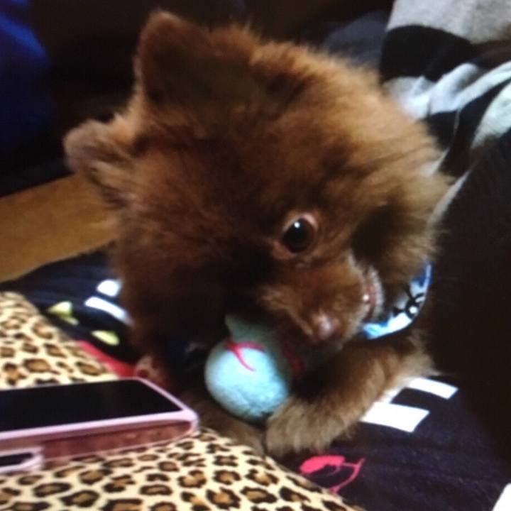 6cbf1c6e 3fad 405e 8fe4 fba4a1b3f0d9