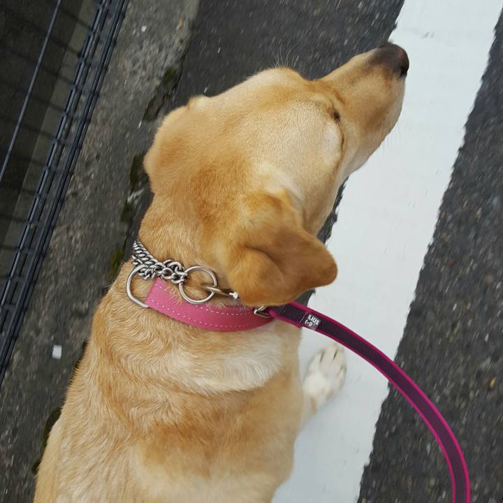 6cbf9945 7033 4df3 b1b7 79a29c5948ad