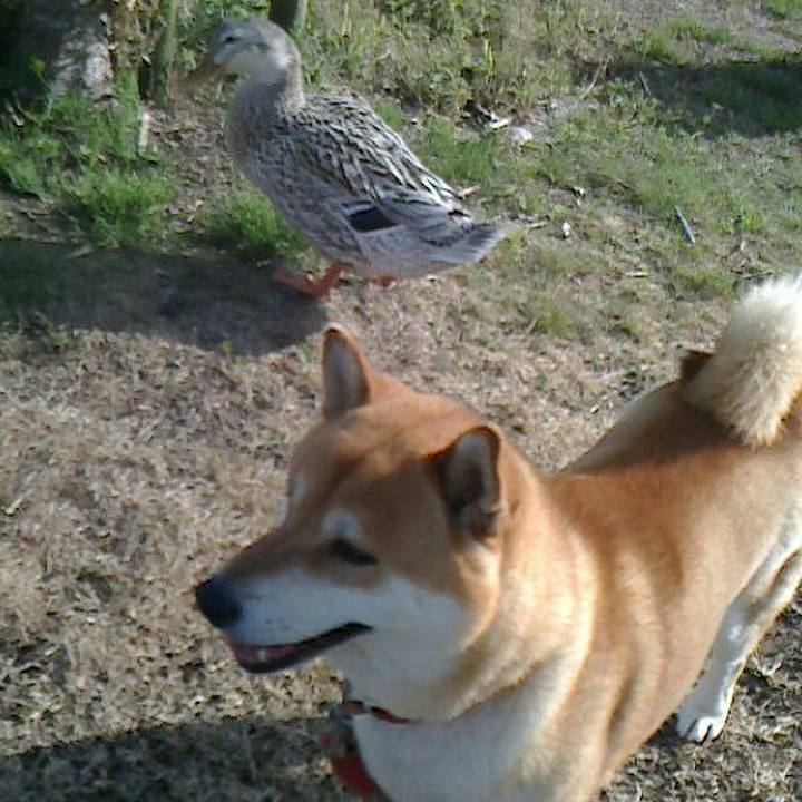 6cbff97b 2bab 4d0f ba3f 461e7338d1d3