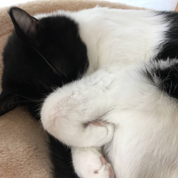 6cc01762 44d4 4944 ba8f efdae7fcb970