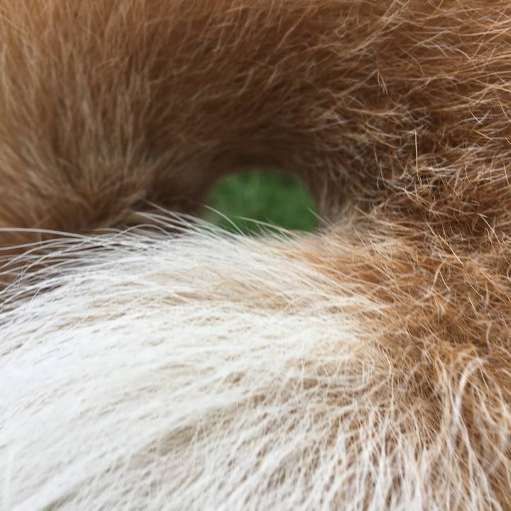 6cc04645 d94f 4aaa bc4d 228ba43d7d7d