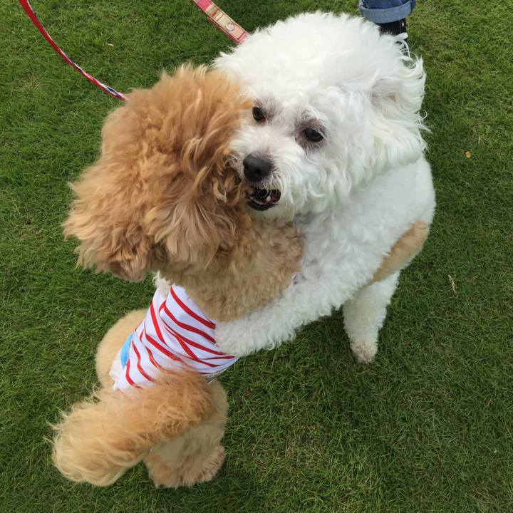 6cc06d6e 99bf 43b0 b5ee 2b6080b9e614