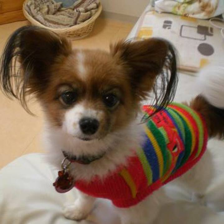 6cc07dad 23ac 4ef4 86b2 6cc3bd025d3e