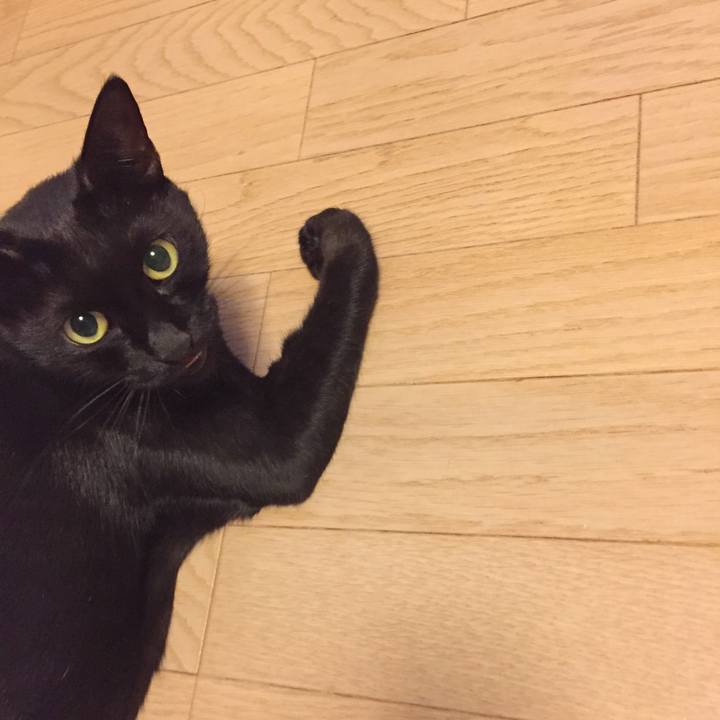 6cc08941 81f2 46ec 96db 0b92ff1f6954