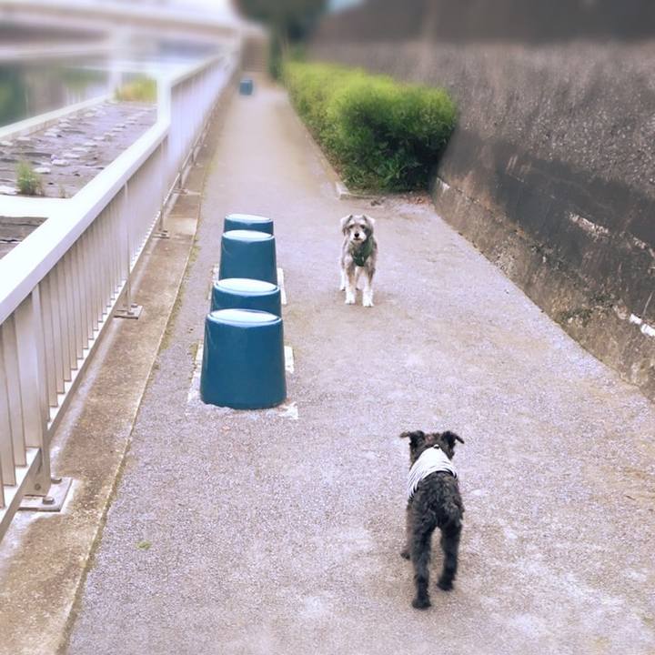 6cc0b2a3 c64e 419f bf5d 1d25a2717a48