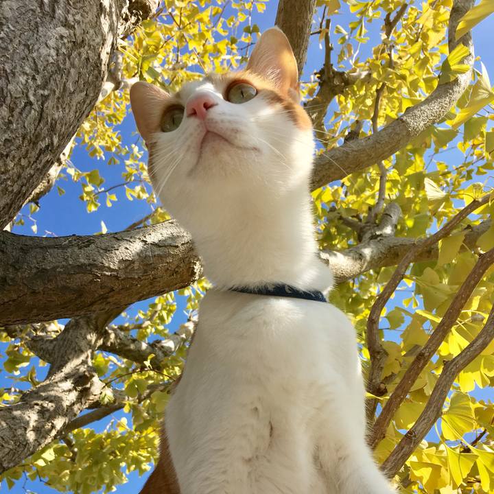 6cc0f674 4947 4625 ac6b a2ca520fd658