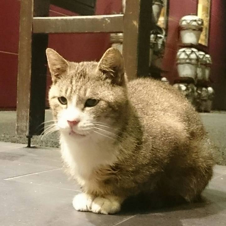 6cc141ac 1304 41d1 bae9 3f0bb4c8eb7b