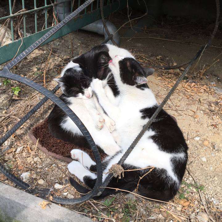 6cc2232b 7ef7 491d a184 813710415d5a