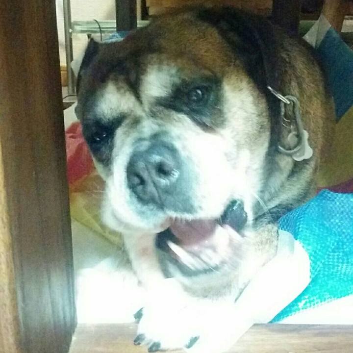 6cc2a9e6 3a2f 450b b79c fc25446b4ddf