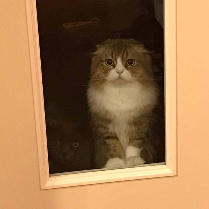 6cc44d6e 9743 46f5 84b8 5a9a7acedc07