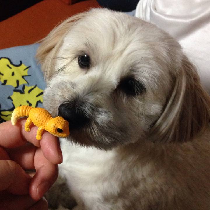 6cc4913b 6931 4c41 962f 2dcc656584c9