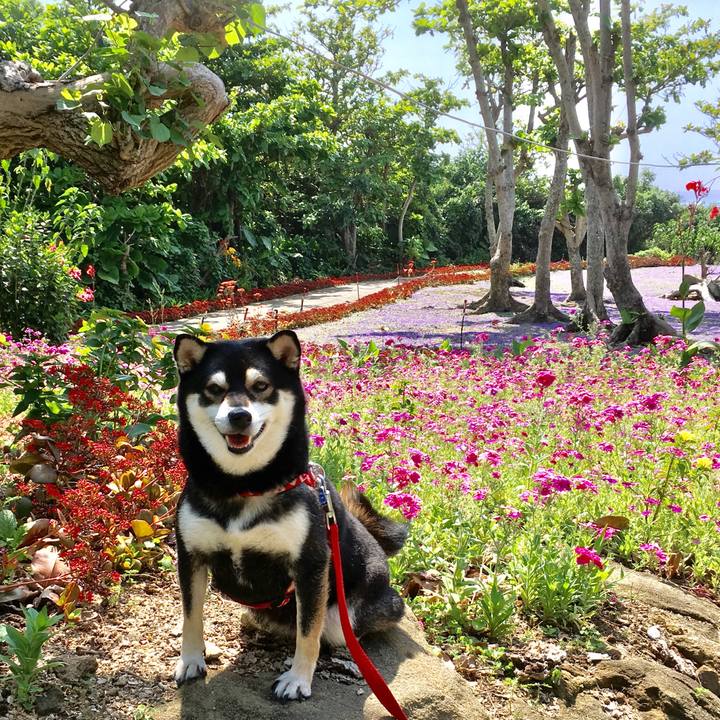 6cc53409 4d36 4aa3 8dda 352861db3e92