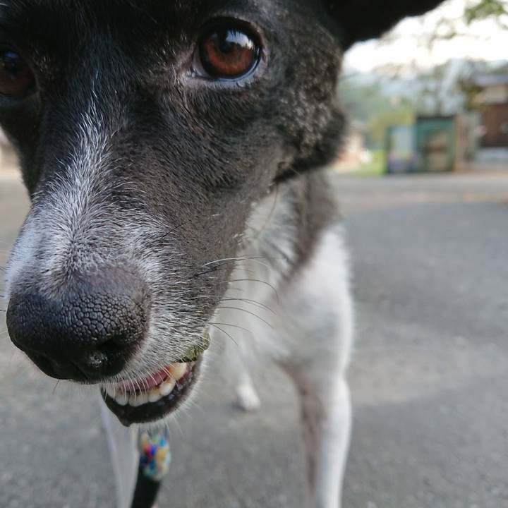 6cc5d7b4 b034 4d31 a63c e5b60a54607f