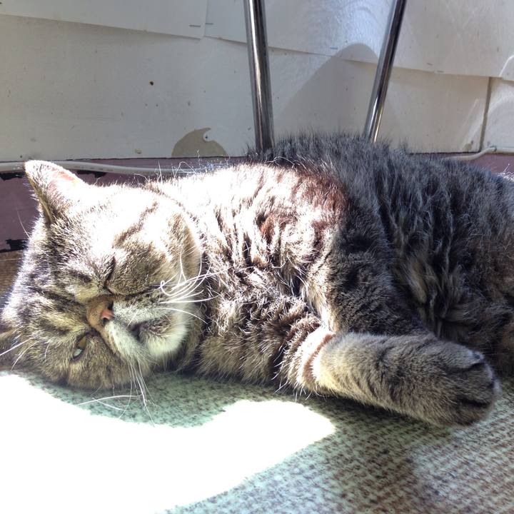 6cc5f835 c171 4521 a966 d3f30d86d499